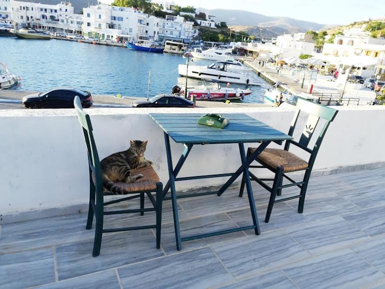 Yacht Front Apartment - Νο 2 イオス島 チョーラ エクステリア 写真